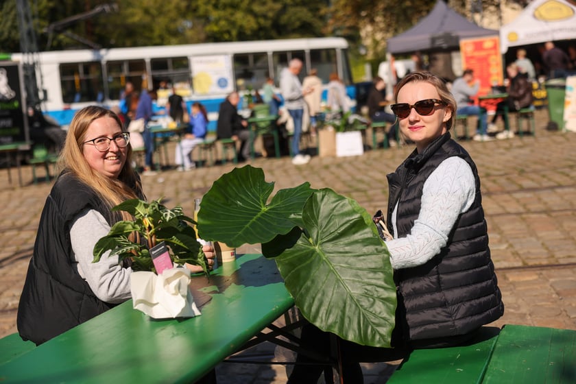 Festiwal Roślin w Czasoprzestrzeni