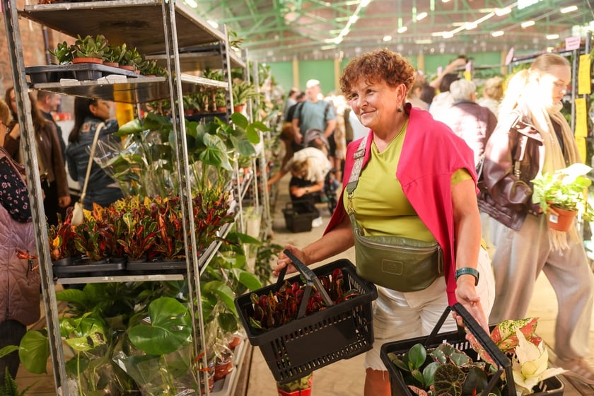 Festiwal Roślin w Czasoprzestrzeni
