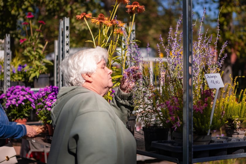 Kiermasz ogrodniczy Pamiętajcie o ogrodach na Partynicach