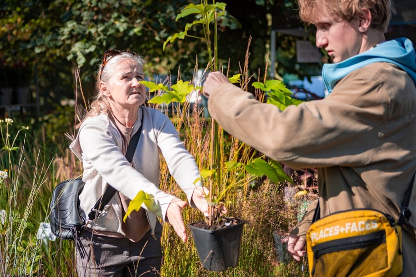Kiermasz ogrodniczy Pamiętajcie o ogrodach na Partynicach