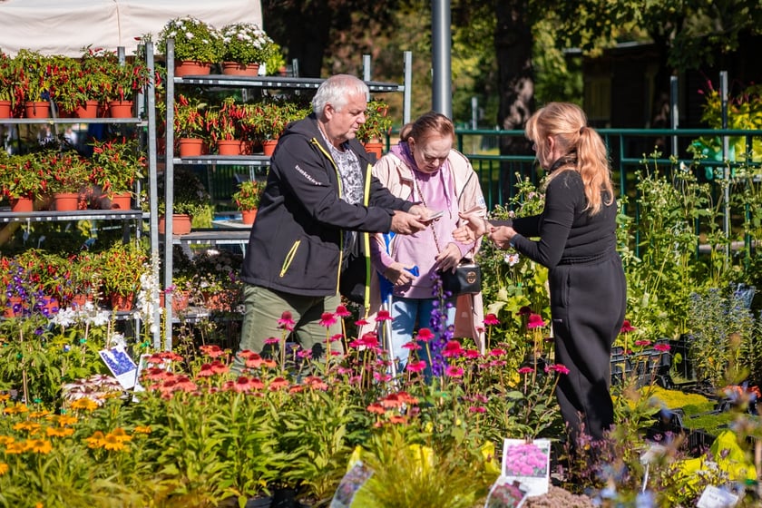 Kiermasz ogrodniczy Pamiętajcie o ogrodach na Partynicach
