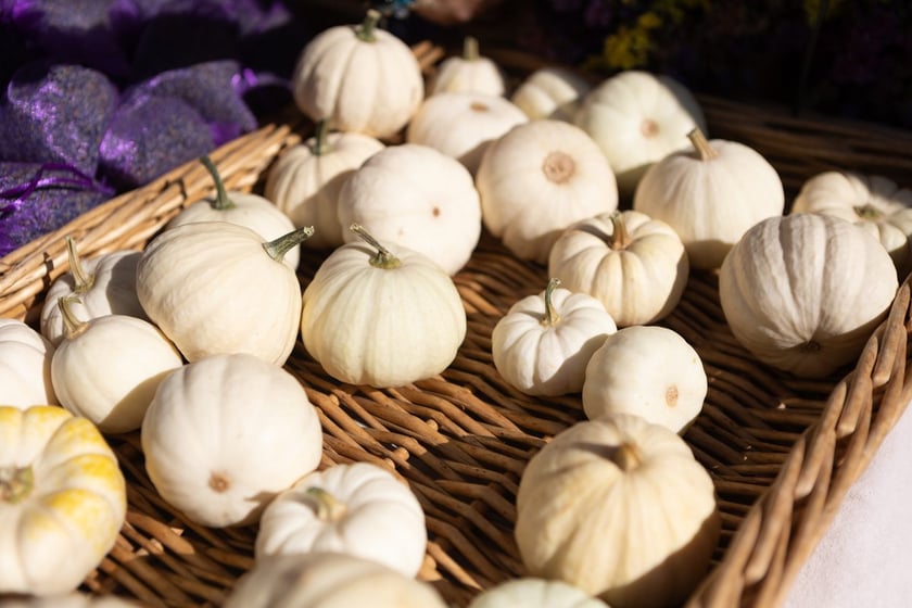 Kiermasz ogrodniczy Pamiętajcie o ogrodach na Partynicach