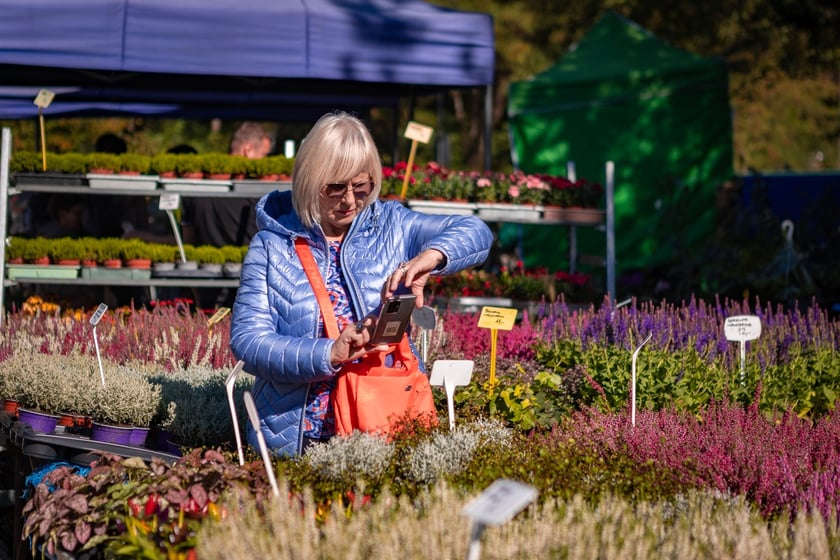Kiermasz ogrodniczy Pamiętajcie o ogrodach na Partynicach