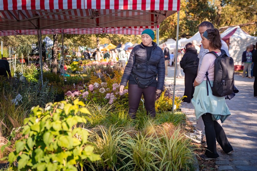 Kiermasz ogrodniczy Pamiętajcie o ogrodach na Partynicach