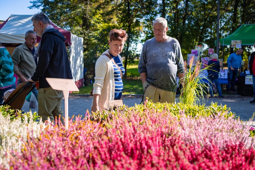 Kiermasz ogrodniczy Pamiętajcie o ogrodach na Partynicach