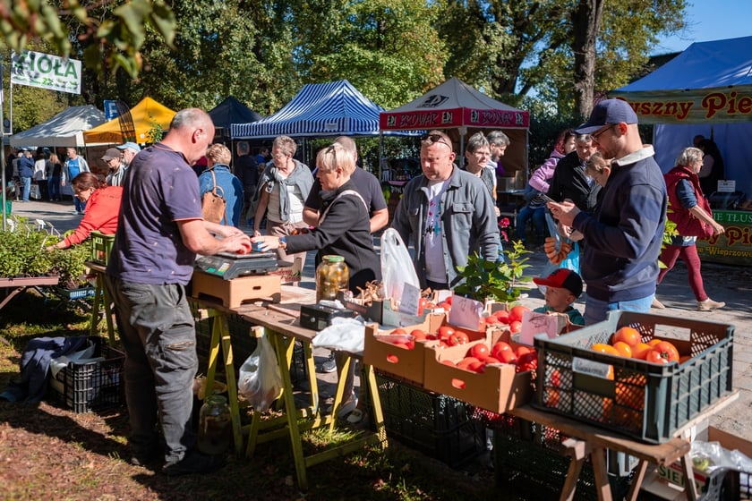 Kiermasz ogrodniczy Pamiętajcie o ogrodach na Partynicach