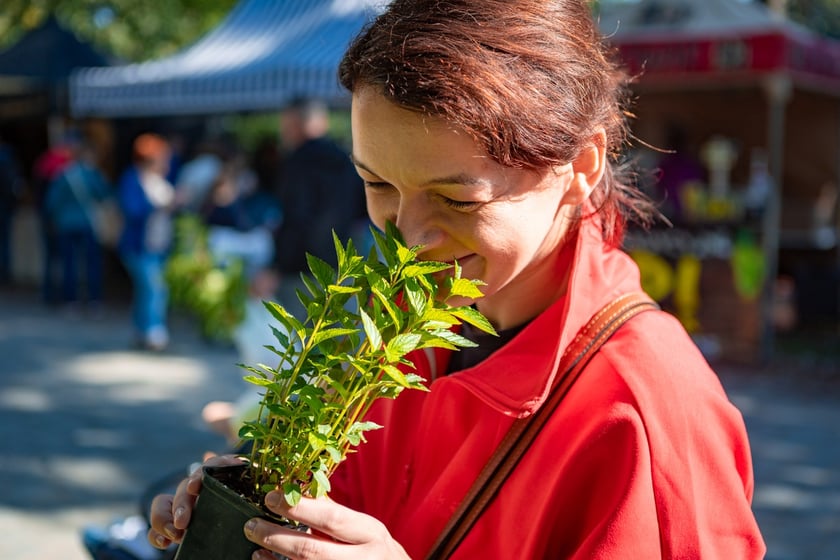 Kiermasz ogrodniczy Pamiętajcie o ogrodach na Partynicach
