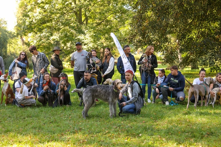 Great Global Greyhound Walk 2025 we Wrocławiu, 28.09.2025 r.