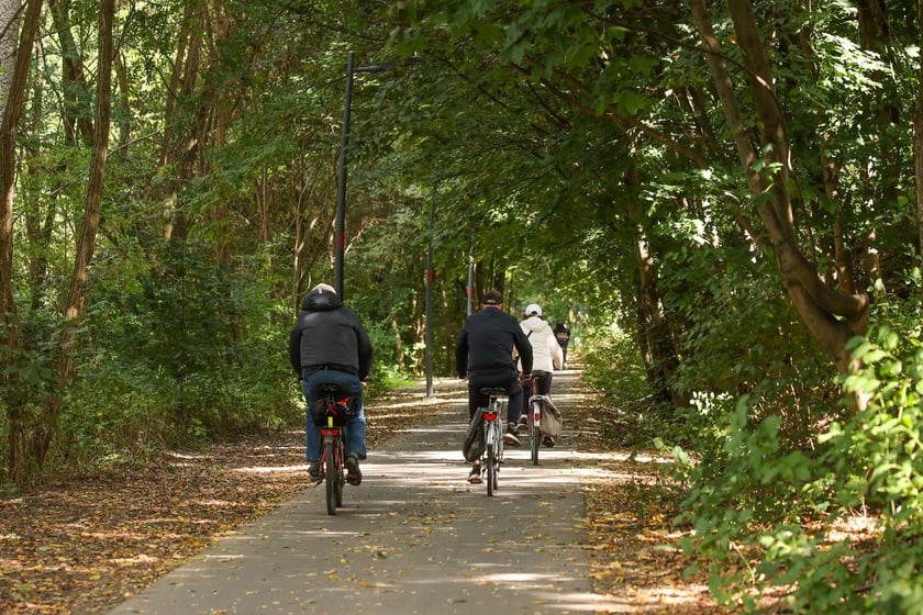 Na Promenadzie Krzyckiej we wrześniu 2025