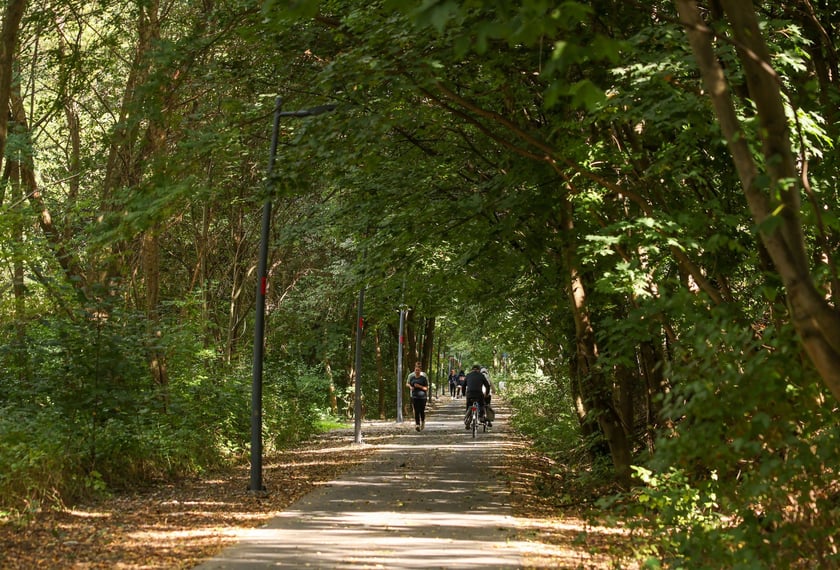 Na Promenadzie Krzyckiej we wrześniu 2025