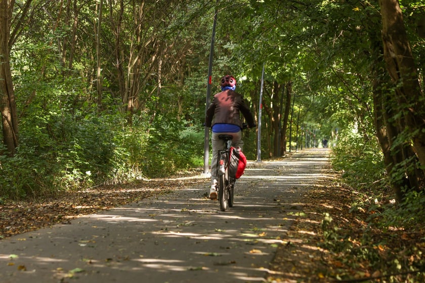 Na Promenadzie Krzyckiej we wrześniu 2025