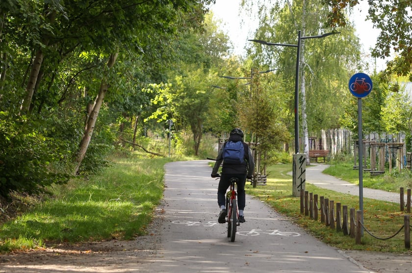 Na Promenadzie Krzyckiej we wrześniu 2025