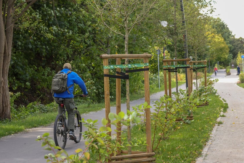 Na Promenadzie Krzyckiej we wrześniu 2025