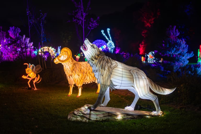 Lumina Park w Zamku Topacz - 15.10.2025