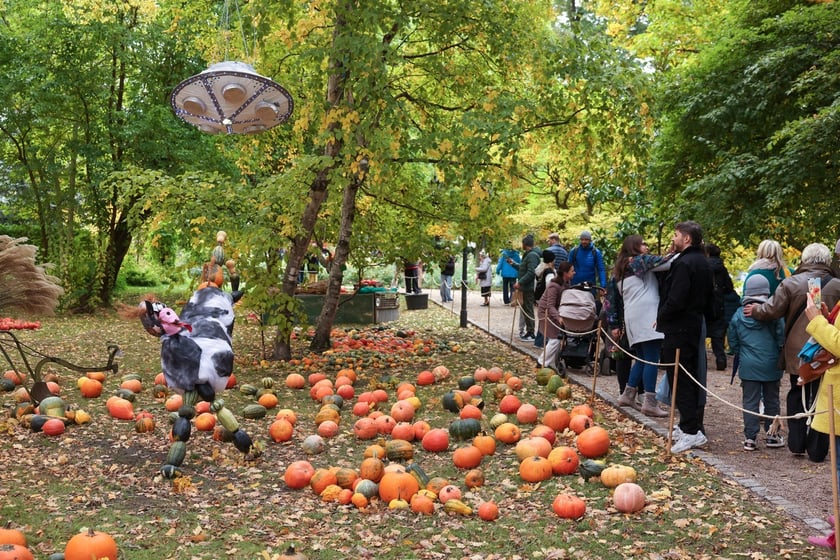 Festiwal Dyni w Ogrodzie Botanicznym 2025