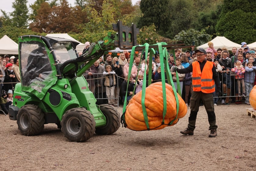 Festiwal Dyni w Ogrodzie Botanicznym 2025