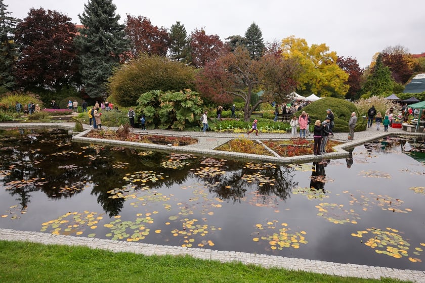 Festiwal Dyni w Ogrodzie Botanicznym 2025
