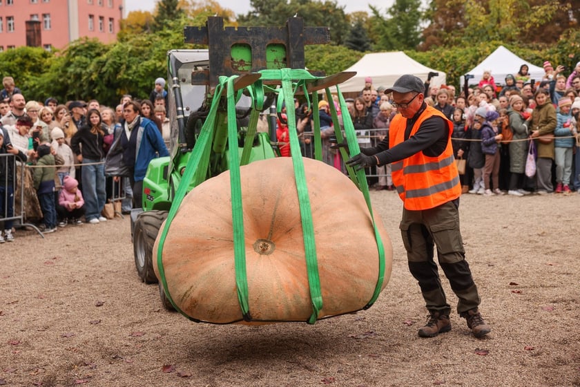 Festiwal Dyni w Ogrodzie Botanicznym 2025