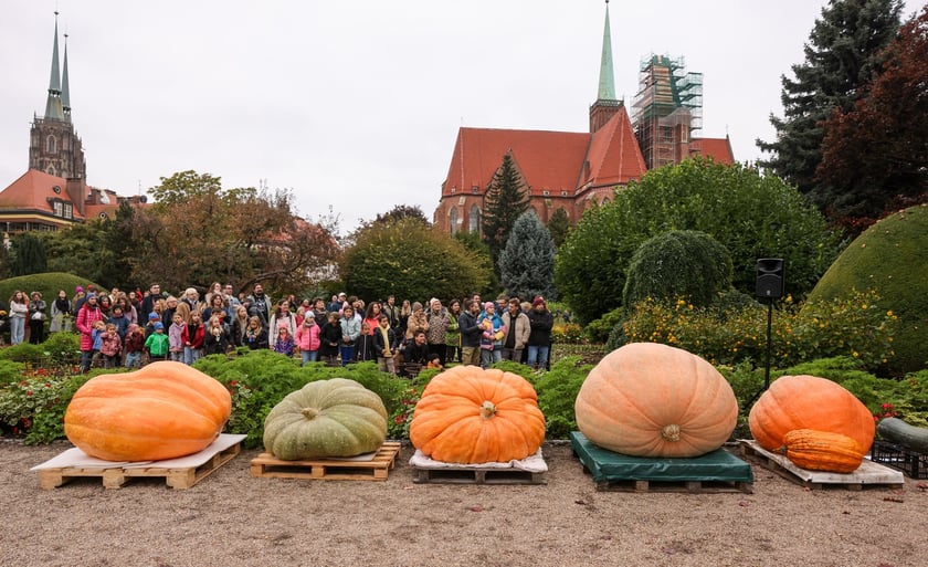 Festiwal Dyni w Ogrodzie Botanicznym 2025