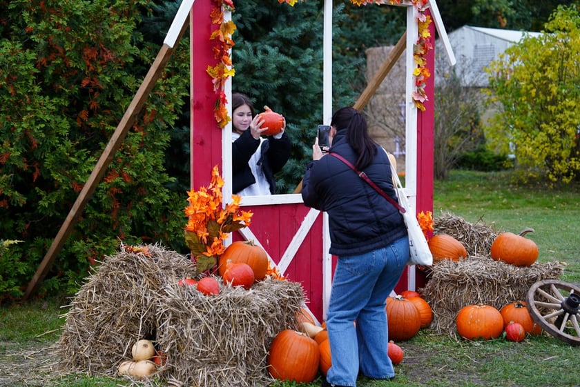 Farma Dyniowa we Wrocławiu