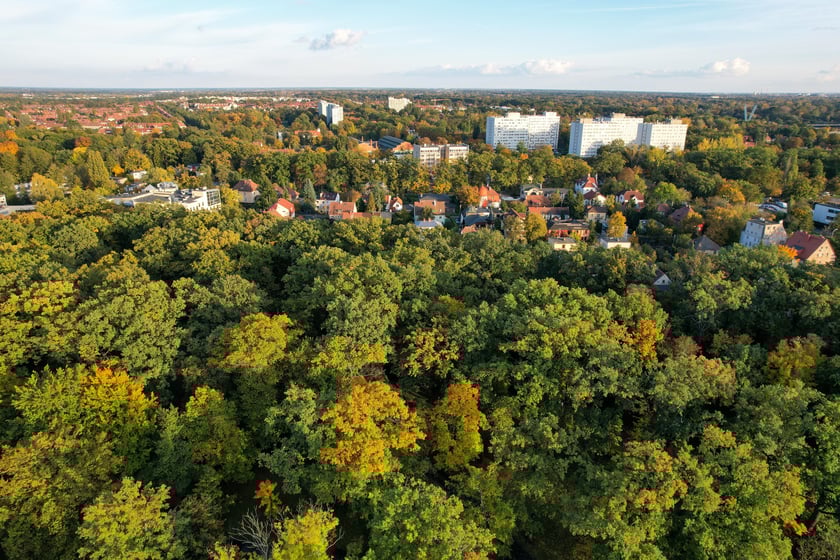 Jesień we Wrocławiu - okolice Hali Stulecia