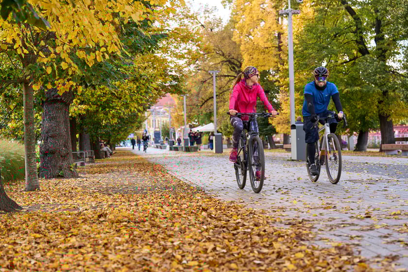 Jesień we Wrocławiu