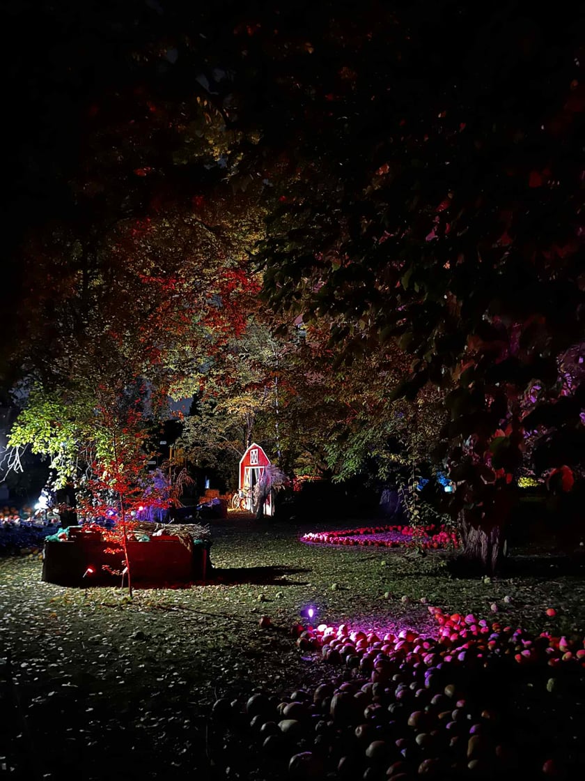 Dyniowe Iluminacje w Ogrodzie Botanicznym UWr&nbsp;