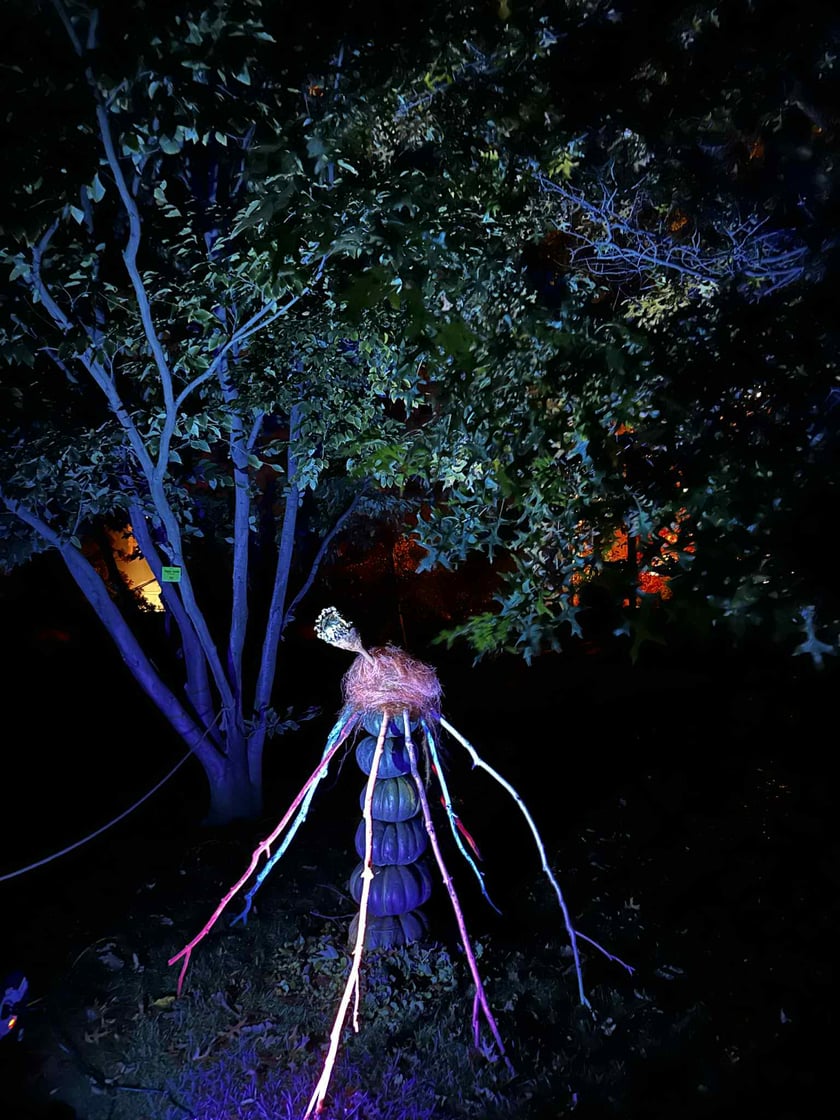 Dyniowe Iluminacje w Ogrodzie Botanicznym UWr&nbsp;