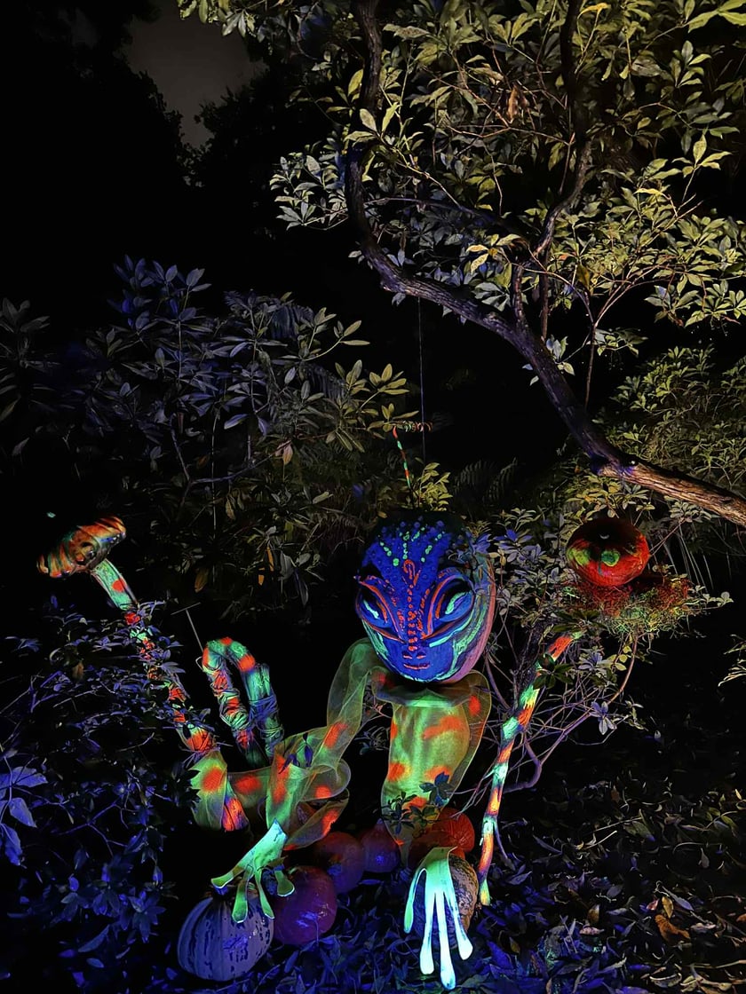 Dyniowe Iluminacje w Ogrodzie Botanicznym UWr&nbsp;