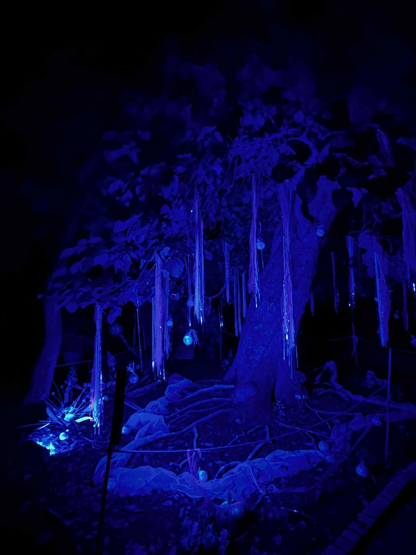 Dyniowe Iluminacje w Ogrodzie Botanicznym UWr&nbsp;