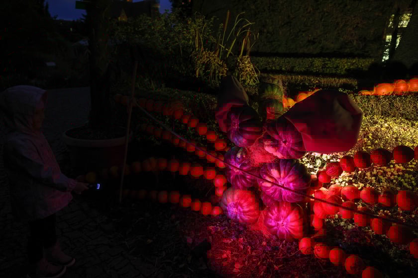 Dyniowe iluminacje w Ogrodzie Botanicznym.