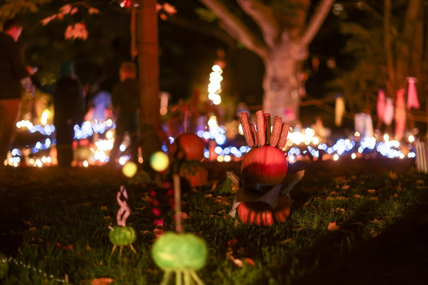 Dyniowe iluminacje w Ogrodzie Botanicznym.