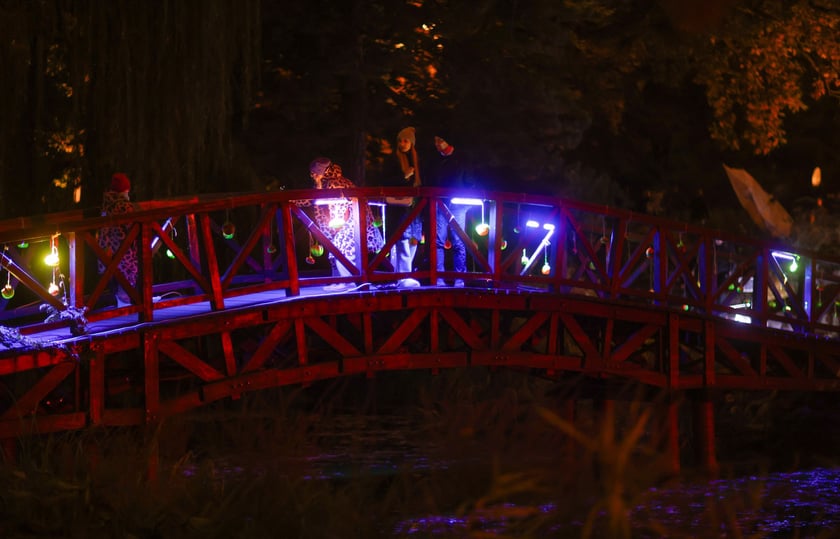 Dyniowe iluminacje w Ogrodzie Botanicznym.