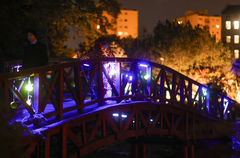 Dyniowe iluminacje w Ogrodzie Botanicznym.