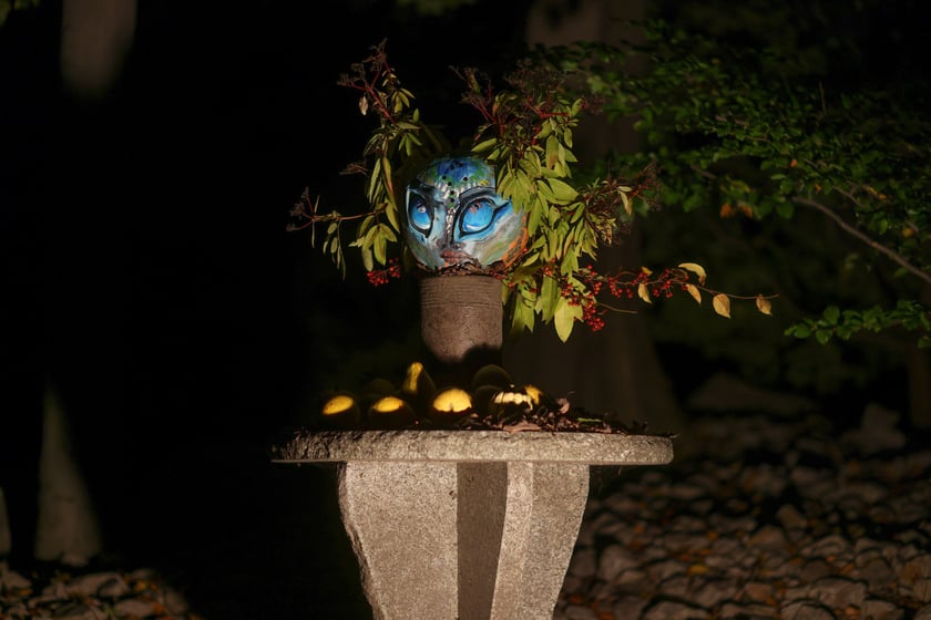 Dyniowe iluminacje w Ogrodzie Botanicznym.
