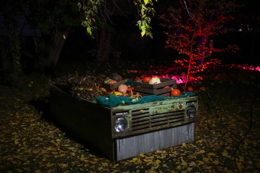 Dyniowe iluminacje w Ogrodzie Botanicznym.