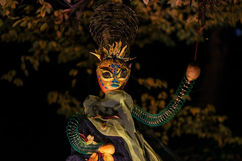 Dyniowe iluminacje w Ogrodzie Botanicznym.