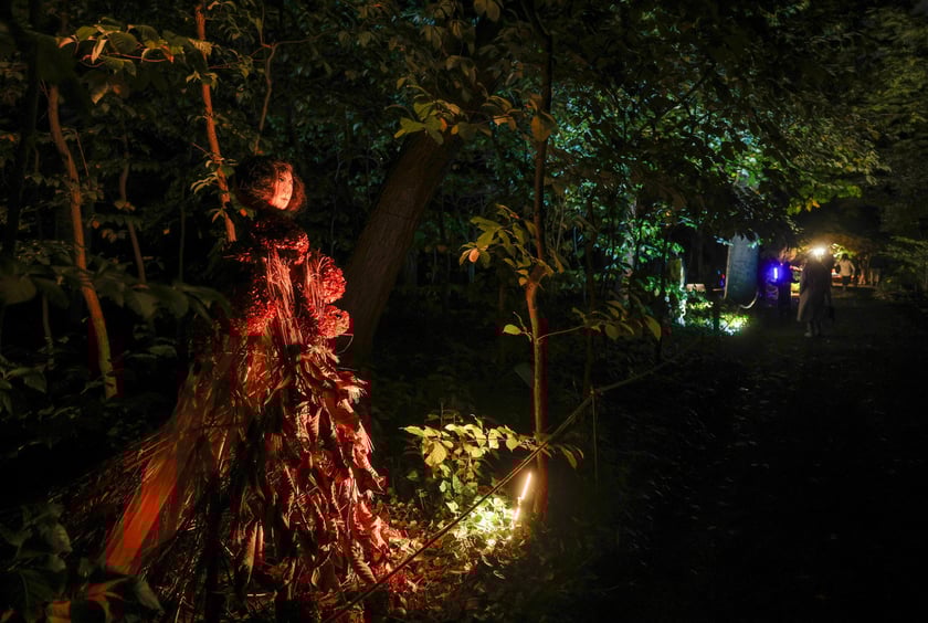 Dyniowe iluminacje w Ogrodzie Botanicznym.