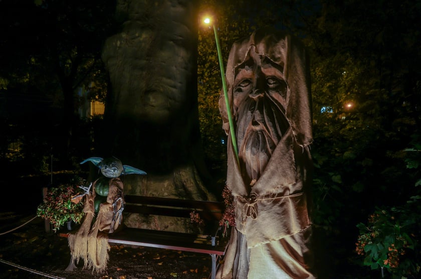 Dyniowe iluminacje w Ogrodzie Botanicznym.