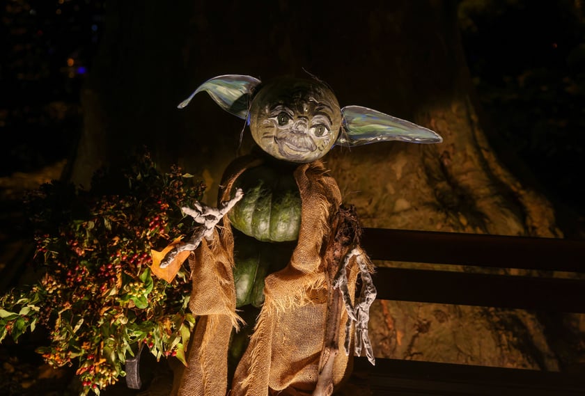 Dyniowe iluminacje w Ogrodzie Botanicznym.