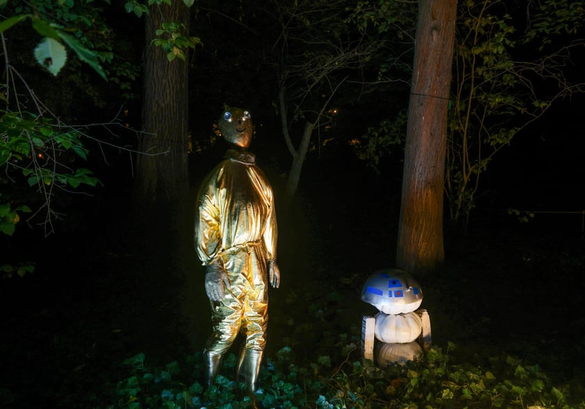 Dyniowe iluminacje w Ogrodzie Botanicznym.
