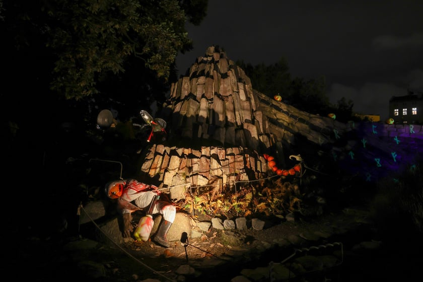 Dyniowe iluminacje w Ogrodzie Botanicznym.