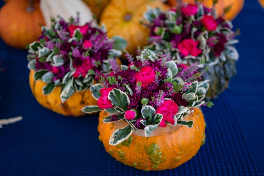 Pchli Targ w Sercu Szczepina - 19.10.2025 r.