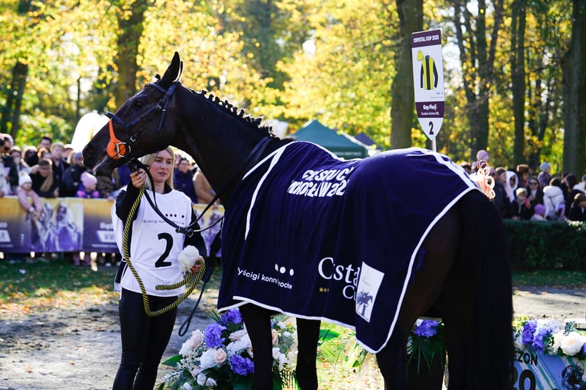 11. dzień wyścigowy: Crystal Cup i Święto Województwa Dolnośląskiego na Wrocławskim Torze Wyścigów Konnych Partynice