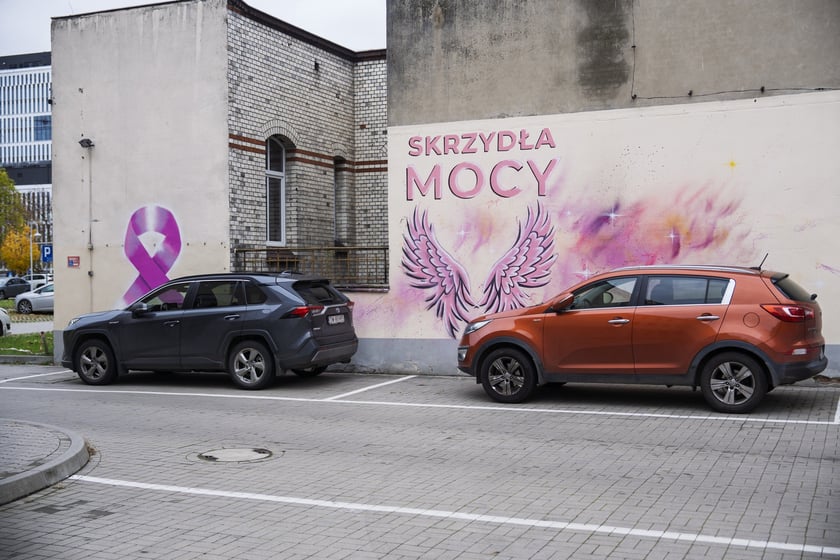 Różowe skrzydła z napisem SKRZYDŁA MOCY namalowane na ścianie szpitala na Hirszfelda