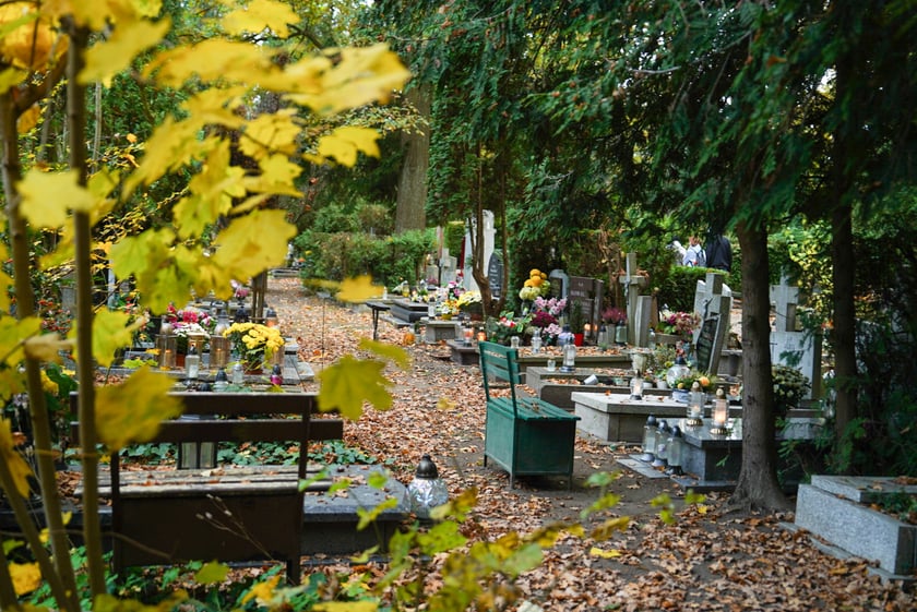 Przygotowania do Wszystkich Świętych na cmentarzu Grabiszyńskim - 26.10.2025
