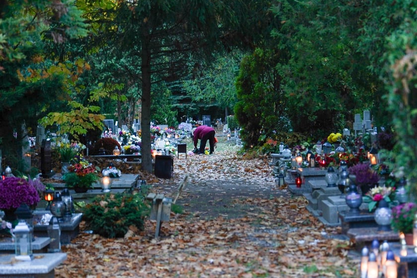 Przygotowania do Wszystkich Świętych na cmentarzu Grabiszyńskim - 26.10.2025