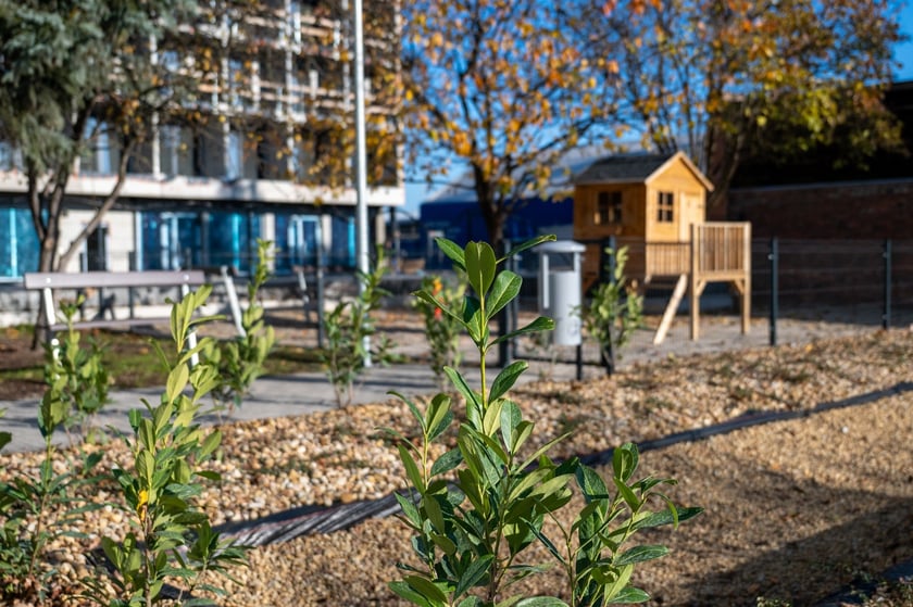 100-letni budynek przy ul. Wilczej już po remoncie. W mieszkaniach komunalnych zamieszka w nim 27 rodzin