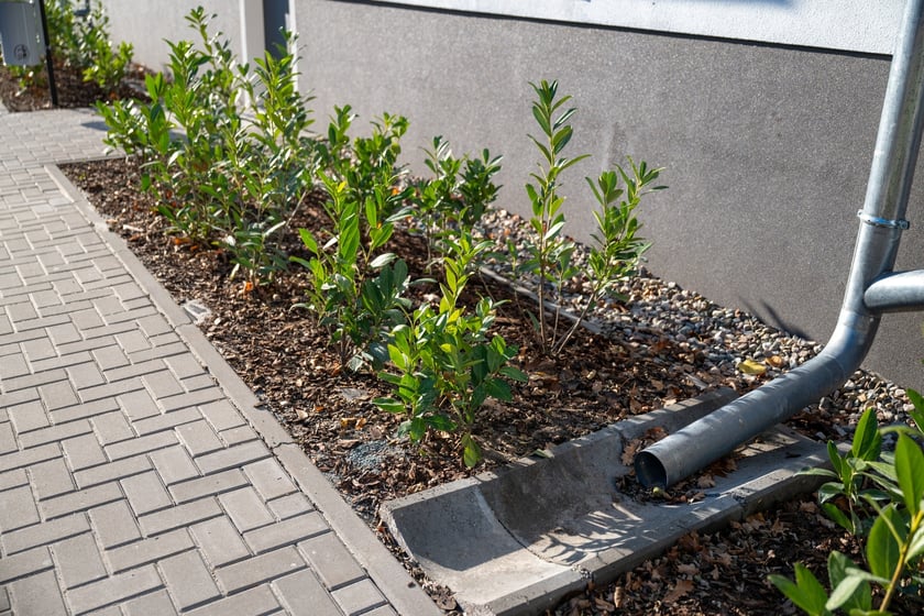 100-letni budynek przy ul. Wilczej już po remoncie. W mieszkaniach komunalnych zamieszka w nim 27 rodzin