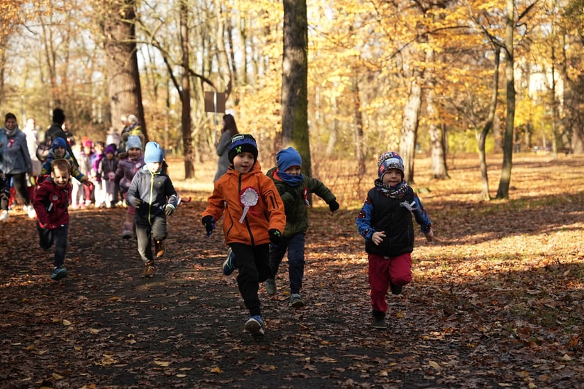 III Bieg Niepodległości organizowany przez Przedszkole nr 47 „Leśny Ludek” - 7.11.2025